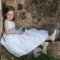 Nicki Macfarlane Silver Organza Dress & Silk Sash -Twinkle Tots nicki macfarlane silver organza dress silk sash 83920 0f27d8bf0d346acd42e8a51371dcc0e111d532aa