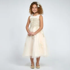 Romano Princess Pink & Gold Lace Dress 8 Romano Princess Pink & Gold Lace Dress -Twinkle Tots romano pink gold lace dress 214340 639d8ed7a896ec784f930ce312330cd3dba6f282 outfit